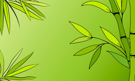 Set of bamboo tree leaves. Hand drawn botanical collection. Drawing of parts of bamboo and sections of branches and leaves on a green background.のイラスト素材