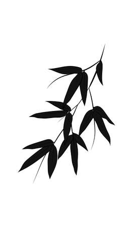Set of bamboo tree leaves. Hand drawn botanical collection. Drawing of parts of bamboo and sections of branches and leaves on a white background.のイラスト素材