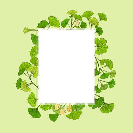 Set of hand drawn leaves ginkgo biloba. Collection ginkgo biloba isolated leaves on a branch berry. Set of medical, botanical plant. Vector sketch hand drawn.のイラスト素材