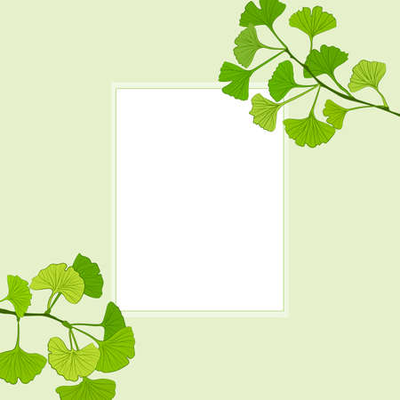 Set of hand drawn leaves ginkgo biloba. Collection ginkgo biloba isolated leaves on a branch berry. Set of medical, botanical plant. Vector sketch hand drawn.のイラスト素材
