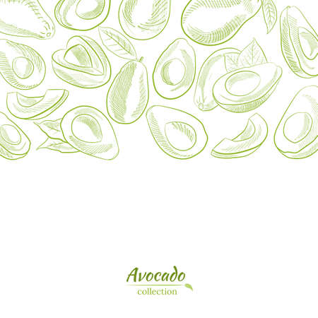 Vector hand drawn avocado and slices set. Sketch of a whole avocado, sliced ââand leaves. Botanical illustration of avocado. Juicy tropical fruits.Great for labels, posters, prints.のイラスト素材