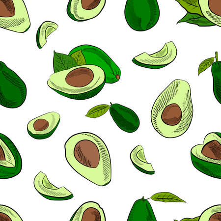 Avocado fruits seamless pattern in hand-drawn style. Sketch of a whole avocado, sliced ââand leaves. Botanical illustration of avocado. Juicy tropical fruits.Great for labels, posters, prints.のイラスト素材