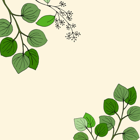 Set of leaves and branches of eucalyptus. Collection of eucalyptus branches. Vector illustration of greenery. Eucalyptus with seeds.のイラスト素材