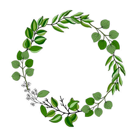 Set of leaves and branches of eucalyptus. Collection of eucalyptus branches. Vector illustration of greenery. Eucalyptus with seeds.のイラスト素材