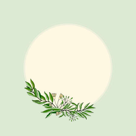 Set of leaves and branches of eucalyptus. Collection of eucalyptus branches. Vector illustration of greenery. Eucalyptus with seeds.のイラスト素材