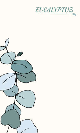 Set of leaves and branches of eucalyptus. Collection of eucalyptus branches. Vector illustration of greenery. Eucalyptus with seeds.のイラスト素材