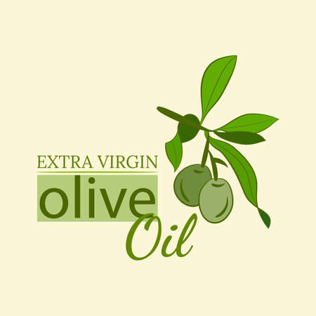 Template for design with olive fruits and tree branches. Olive tree branch hand drawn illustration in sketch style. Design elements for label, emblem, banner.のイラスト素材