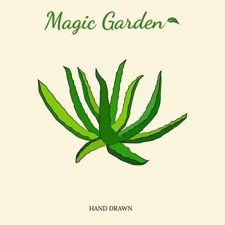 Template for design with a succulent flowers. Spiny desert plant, tropical plant. Hand-drawn illustration in a sketch style.のイラスト素材