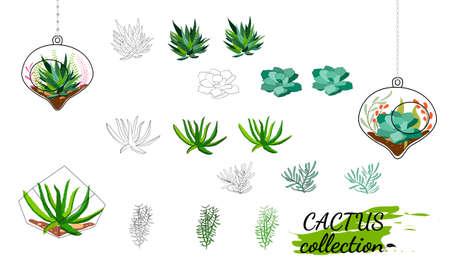 Set of hand drawn cacti and succulents. Spiny desert plants, cactus flowers and tropical plants. Vector collection of doodle plants.のイラスト素材