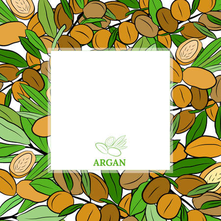 Sketch of branch argania with fruits. Hand-drawn illustration. Branch of argan with nuts. Cosmetic and medical plant. Set of argania tree.のイラスト素材