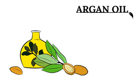 Organic essential oil sketch. Vector set of hair ingredients.Organic hand drawn elements. Argan nuts, branch, bottle oil.のイラスト素材