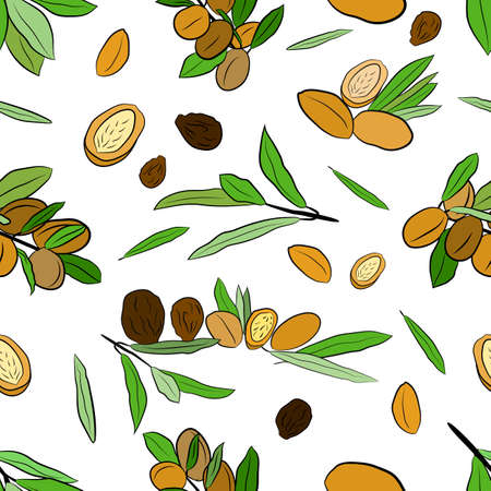 Stamless pattern of argan leaves, nuts, oil. Sketch of branch argania with fruits. Hand-drawn illustration. Organic essential oil sketch.のイラスト素材