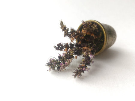 thimble flowers miniature on a white background