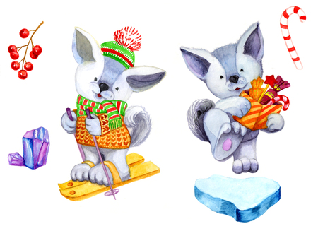 Christmas clip art of watercolor. Set the symbol year dog, hat on skis, with presents. Floe, mountain ash on a branch.Pattern for Christmas designの写真素材