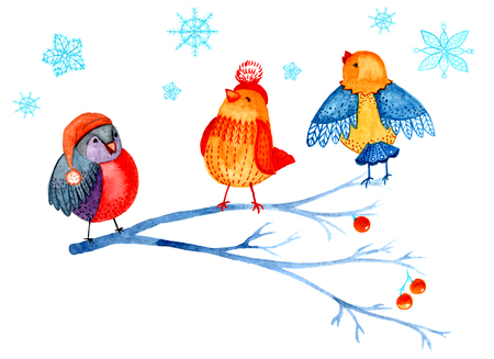 Christmas clip art of watercolor. Birds on a branch, snowflakes on a white background. Pattern for Christmas designの写真素材