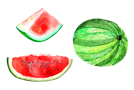 Fruit watercolor. Watermelon and slices of watermelon. Freehand drawingの写真素材
