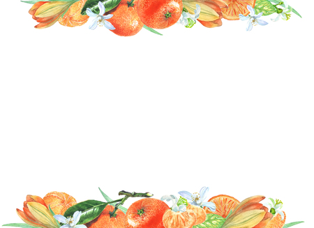 Design for cards, invitations, booklets, magazine. Freehand drawing  of Mandarin, mandarinovyj cloves, flowers. Template for designer print on paper. Environmentally friendly, natural, helpfulの写真素材