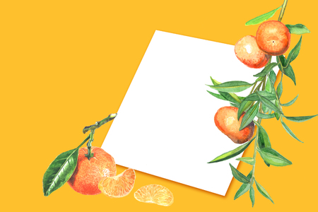 design with tangerine and a blank sheet of paper for labels. Template for invitations, letters, cards, for designer. Natural product, natural, eco-friendly, beautifully decorated,の写真素材