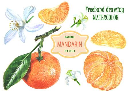 Set clipart with tangerines, flowers, Mandarin slices and leaves. For design templates, print on paper. Healthy food, natural product, environmentally friendly. On a white background. The  drawingの写真素材