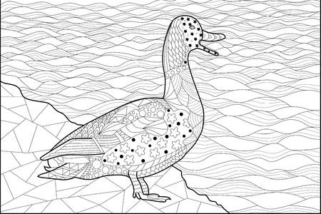 duck on the shore of the river, a black and white picture for coloringの写真素材