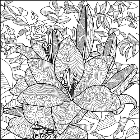 outline drawing of lilies with rosesの写真素材