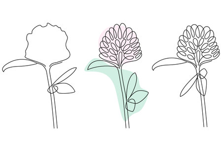 Clover flower set outline with pink and light green background and no backgroundのイラスト素材