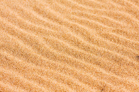 Rippel patterns blown by the wind on the beach sandの写真素材