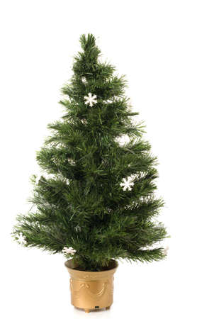 Undecorated Christmas tree on a white backgroundの写真素材