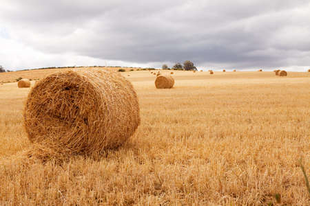 Hay bales laying in a meadow under cloudy skiesの写真素材