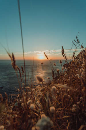 Composed shot of the sunset from the coast in Spain with a lot of plantsの写真素材