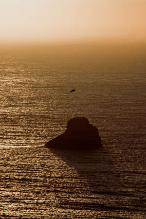 A seagull flying over the ocean during a sunsetの写真素材
