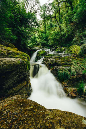 A long exposure shot of a river in the middle of a green forestの写真素材