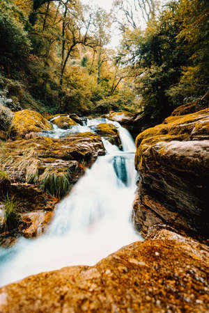 A long exposure shot of a river going through the forest during autumnの写真素材