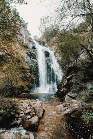 A colorful shot of a massive waterfall in the forestの写真素材