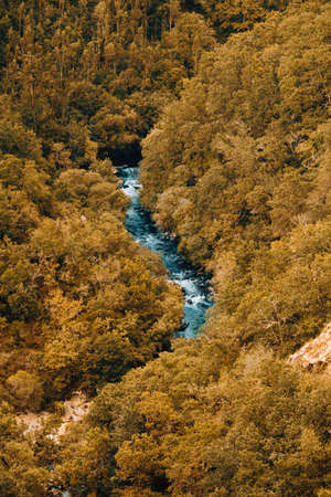A blue river between massive yellow treesの写真素材