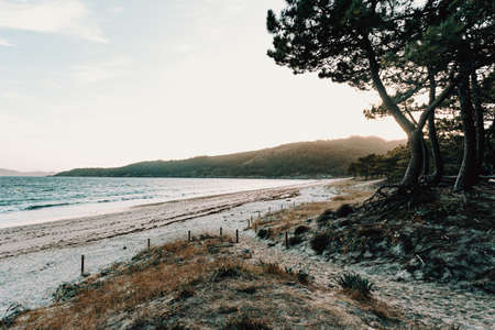 An horizontal view of the beach from the forestの写真素材