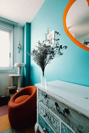 A colorful and beautiful room composed with blues and reds with a plantの写真素材