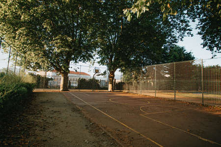 The colorful court of basketball in the street with two treesの写真素材