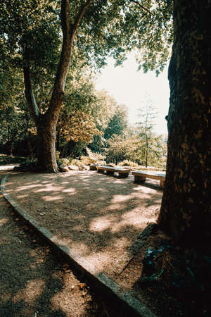 Some rocky benches in the middle of the trees in the park during a sunny and bright dayの写真素材