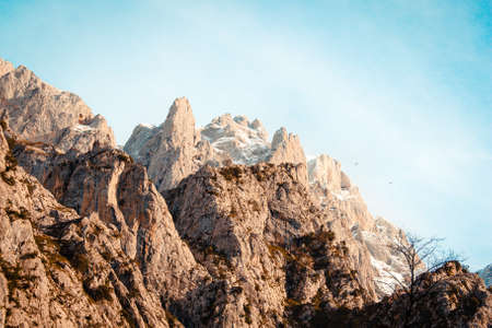 A massive rocky and snowy mountain with a bright blue background on pink tonesの写真素材