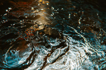 Some relaxing time stopped water background in red and blue tonesの写真素材