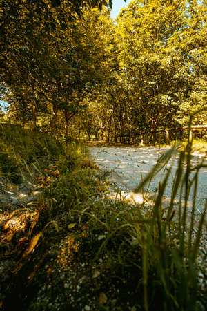 The path around the forest during a sunny autumnal day with the yellow leavesの写真素材