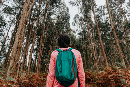 The back of a woman in front of an old massive forest with a backpack and sport clothes