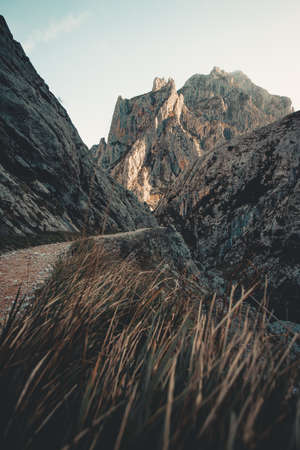 A stunning view to the massive rocky mountain from the patch with copy spaceの写真素材