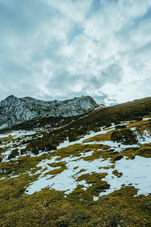 A green meadow in the top of the mountain with a cloudy sky and copy spaceの写真素材