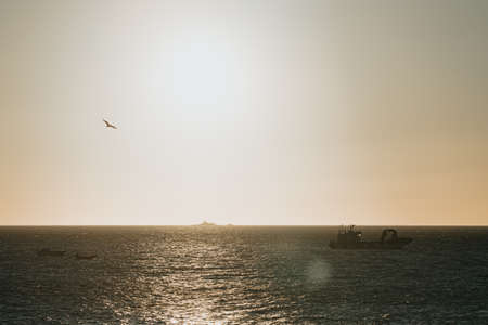 A fishing boat in the middle of the sea during a colorful and massive sunset with the seagulls flying by and copy spaceの写真素材
