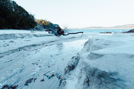 A white sand beach in spain during a bright day with copy spaceの写真素材