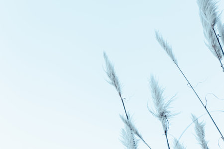 A background with some plants on the corner and a bright sky with copy space