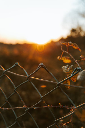 A moody shot of a fence with an out of focus background during the sunset, inspiring with copy space A moody shot of a fence with a out of focus background during the sunset, inspiring with copy spaceの写真素材