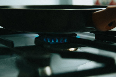 A super close up of the fire of a kitchen while igniting